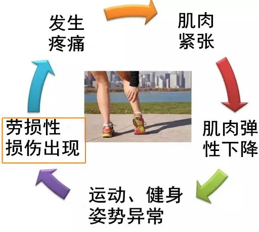 有哪些篮球战术训练的应用程序可以帮助我进步?_1